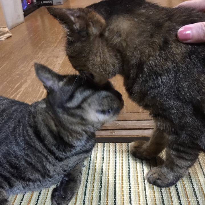 8444cefe 949f 4377 879d 95ead760a145