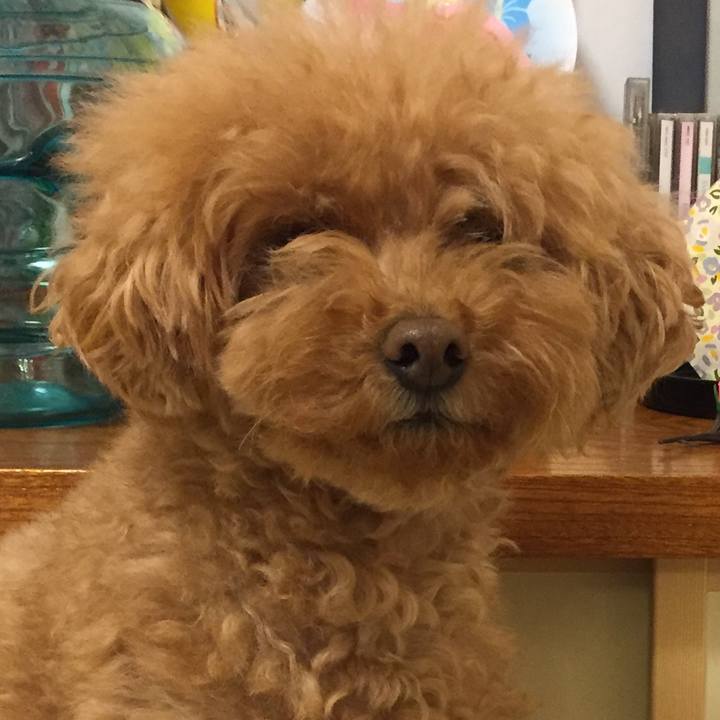 84450476 e067 4a46 9f8d 7f2e6c52b76c