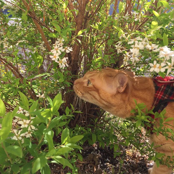 84451d52 9c0c 4f61 b114 e2213f9a5eab