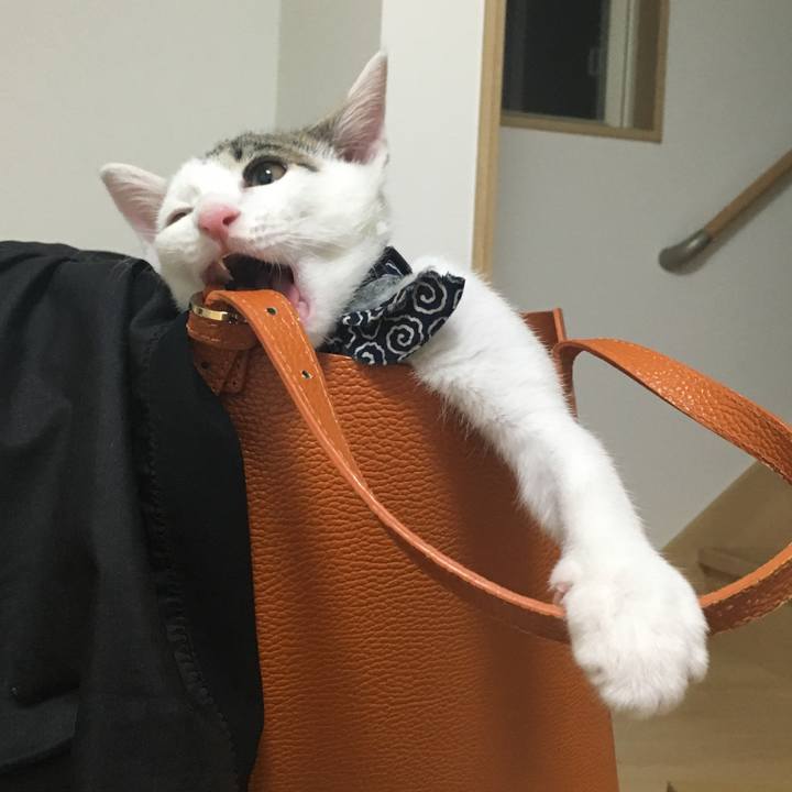 84465a41 1bb5 4830 b6d7 9d6287cedde5