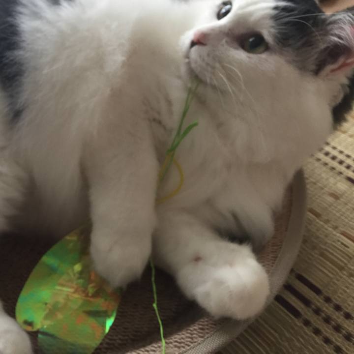 84475710 97d3 4b2c 9738 4bfdaa915e63