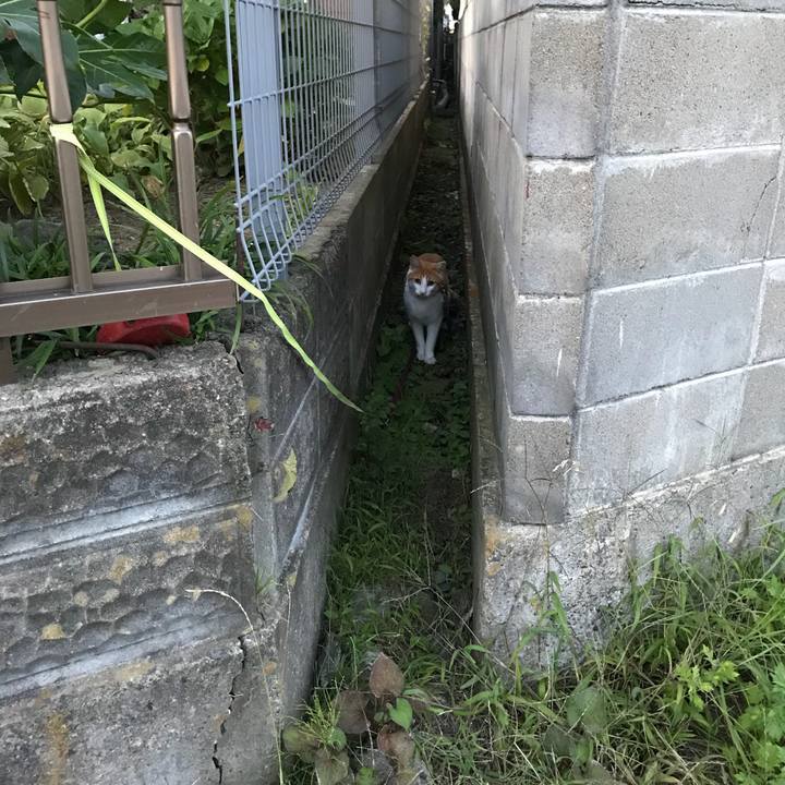 8448639b aece 412c a264 9072fd71fe5f