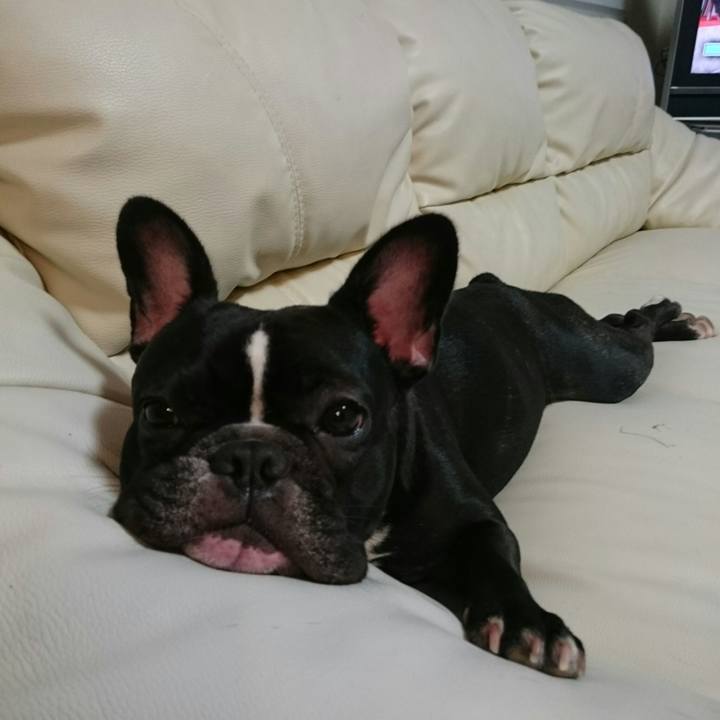 8448878a c156 40e7 b872 89951580e0d6