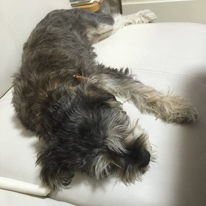 8448ad4c 0e9a 4fc4 b20d a04b46547e2a