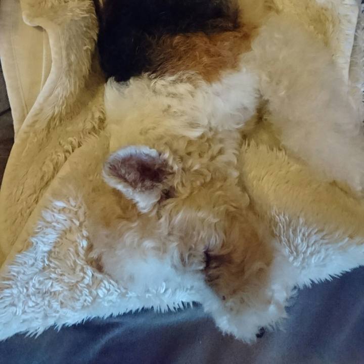 844a02e0 95ac 4c0e 93c5 459cee2858e3