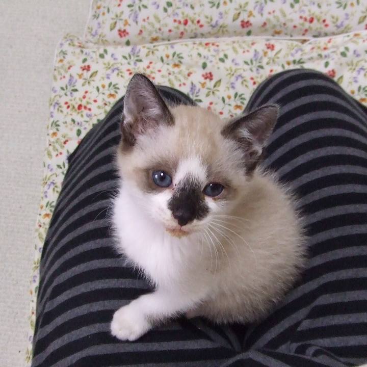 844a29b5 264d 4580 8cd2 a1f07d8d5b79