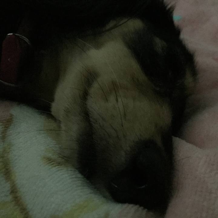 844a8388 10f9 41a6 990d 753d7b4e6c81