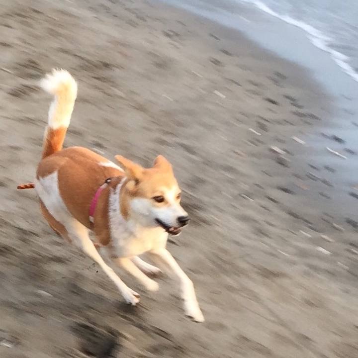 844bb53e f7f5 462e 8c43 033a34742da2