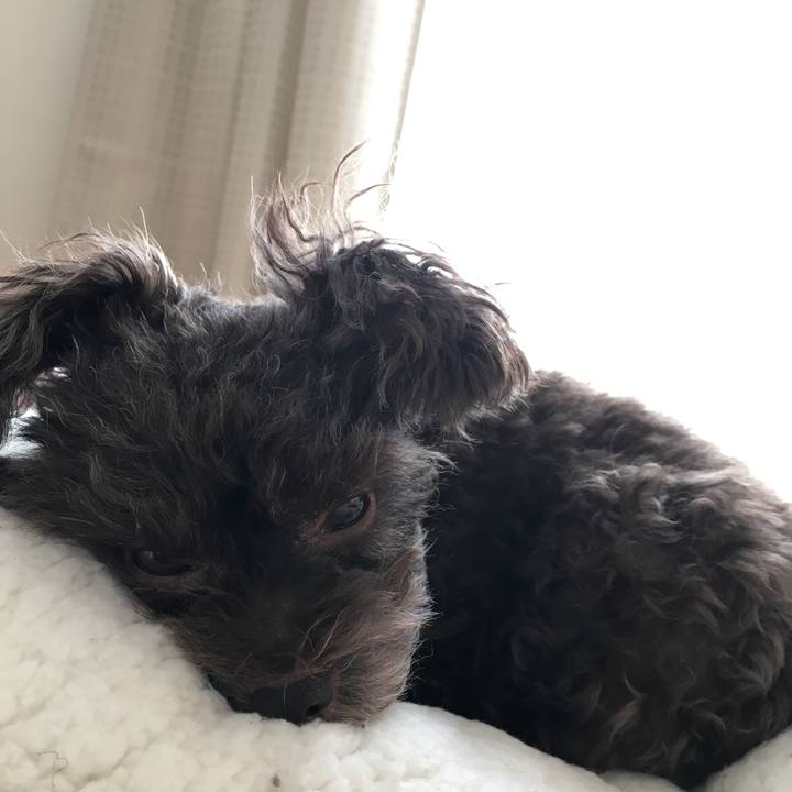 844bcf7e ef31 4b37 b331 d7d5d7ae0fad