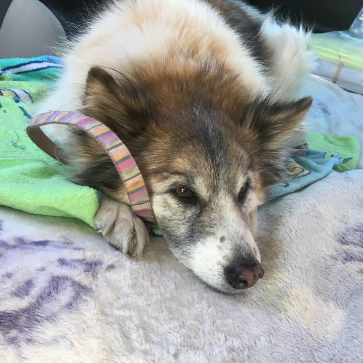 844c51a2 5da5 4b16 9d3e 26045d5394c1