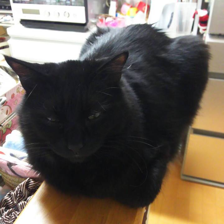 844c7ccb 2c03 422a 8168 0c7cf5d0977d