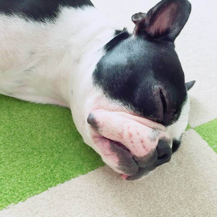 844cadde da3d 4bc7 b148 d2dc5e036543