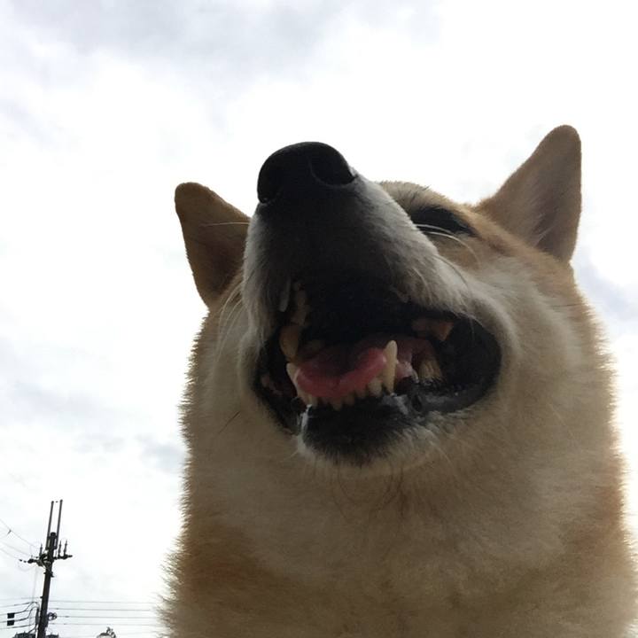 844d9f5f 743f 46ee 8ce5 56329833b71e