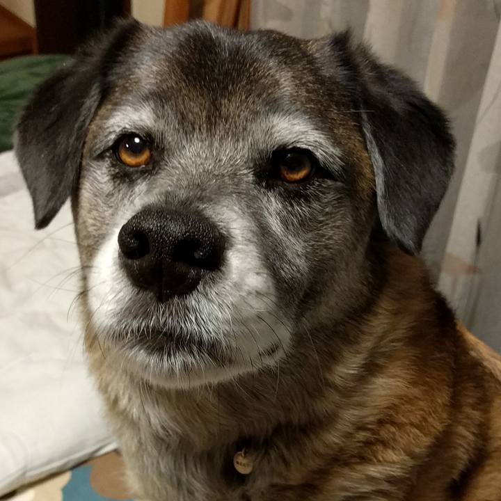 844dadd2 7126 4ee0 b7db bfe90a1727a6