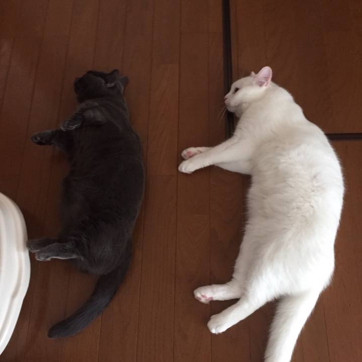 844db50e ee39 41e7 9f08 83d20c6730d8