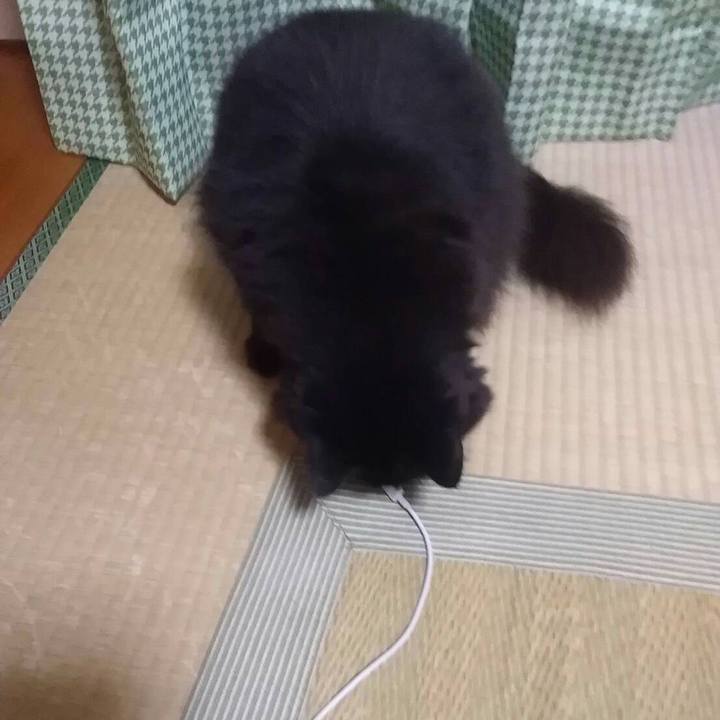 844df919 a55a 4697 b6dd 8b18dc90e490