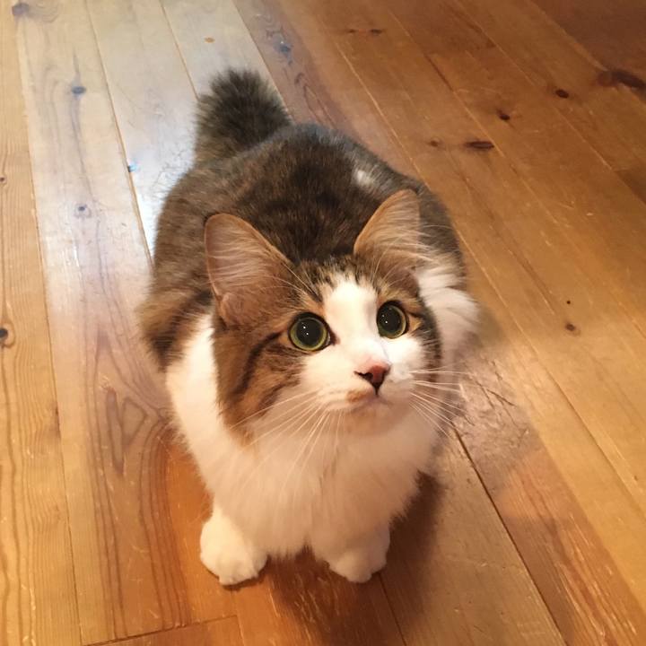 844e39a5 3968 40ec 8282 985f327e9757