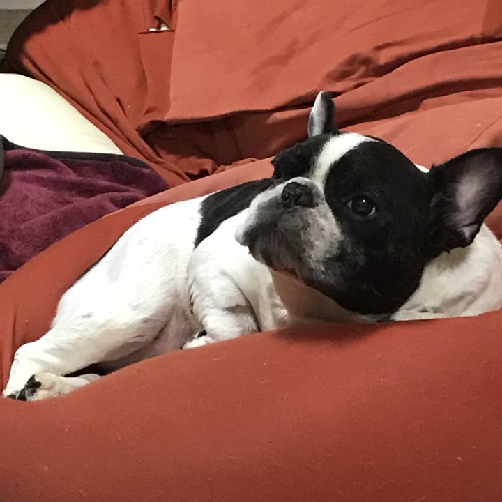 844e3c5b 798d 4559 96e2 a4cda4278e9b