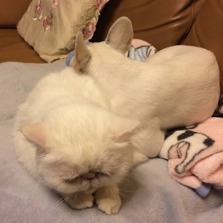 844e6a49 7170 4a1f 9840 3b48b002478d