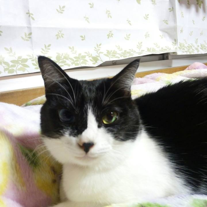 844e6fd4 4e5e 4a12 b100 550257ea8dc9