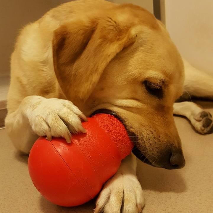 844ea537 7d86 4c2e 9d3f 606d29477bca