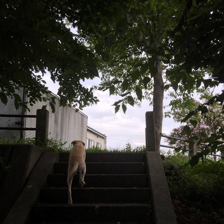 844eb029 62cc 4331 885f a54422327d62