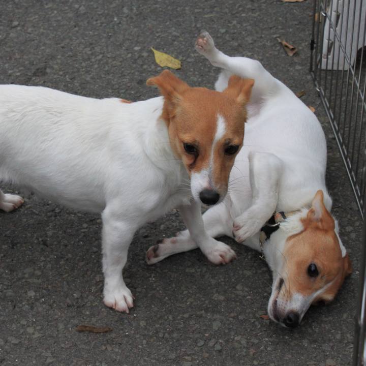 844ec42f 7144 4755 b0c6 14dbc95b846b