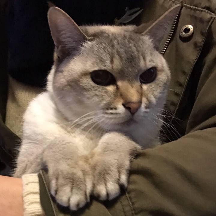 844f2555 535f 4c6b 8f8b e4af4761237f