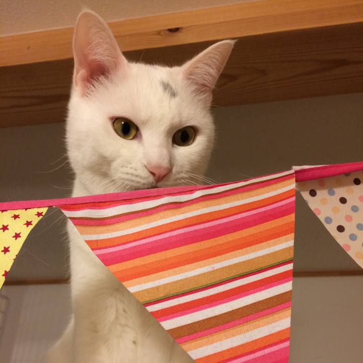 844f2b73 6cbf 4c2d bfc9 b9d4dfb78325