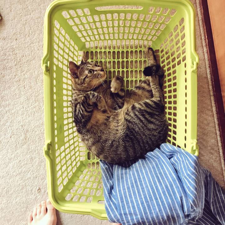 844f70d4 19dd 441f a86d 74fa5439de76