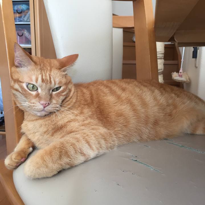 844fd207 476a 4fbc b3a7 7c0c7365f28a