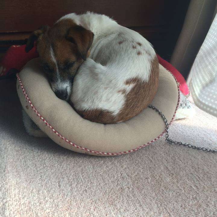 844fd444 0595 4be7 b66d c21f526e2383