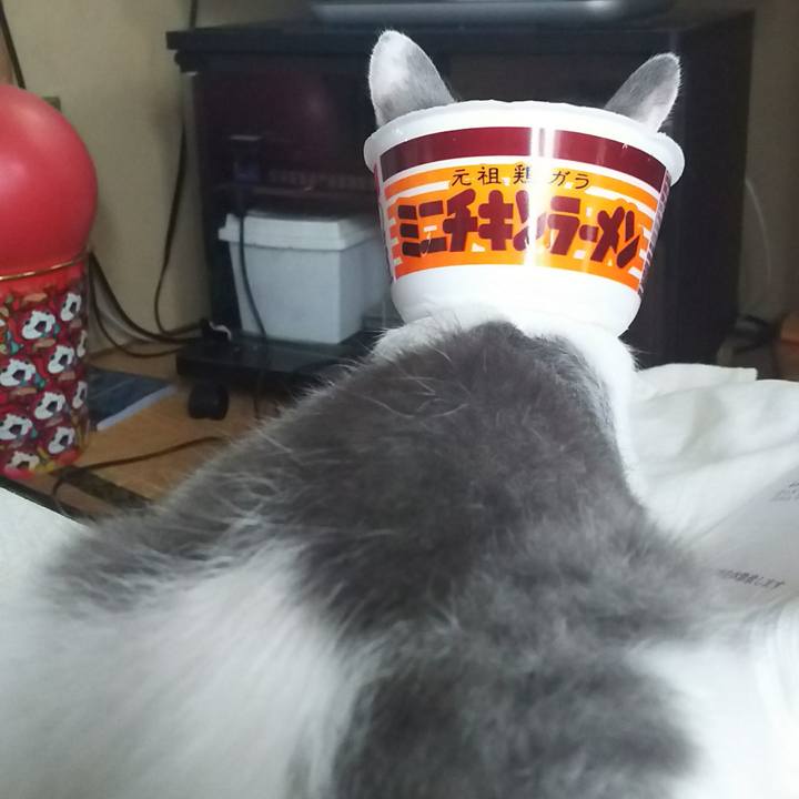 84500b47 2cf2 4b74 a5fb 09ec18387d93