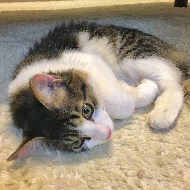 845013b3 1b5d 4c63 aba7 53c7e60ba968