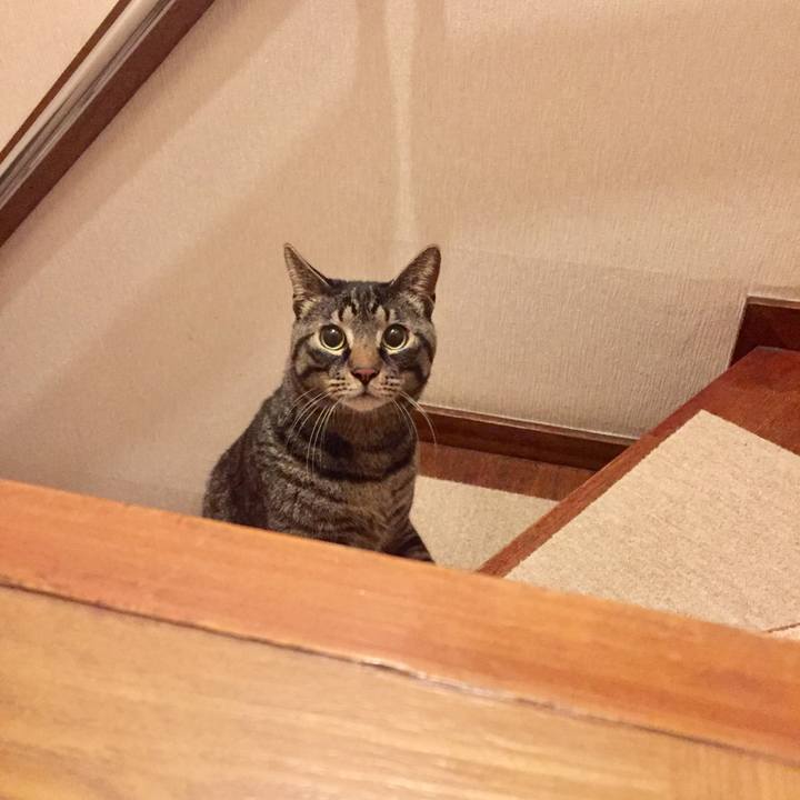 845190e2 a350 49d4 8ea1 73ab7701ea79