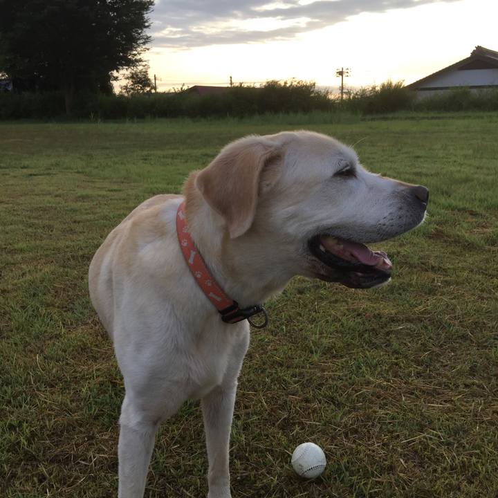 8451a5d3 4fc4 4024 be53 18c8bf5591dd