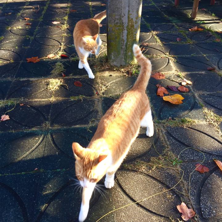 84524b6c 3285 4b4d 92f1 5b1e85ff4c31