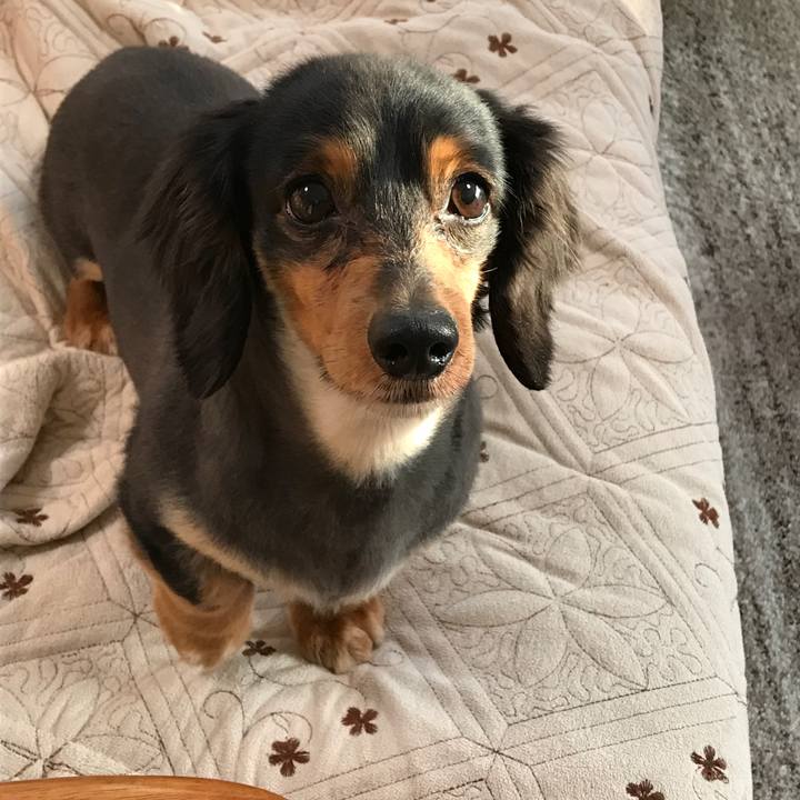 84526a8f f13b 44c8 aa6f 093c725de416