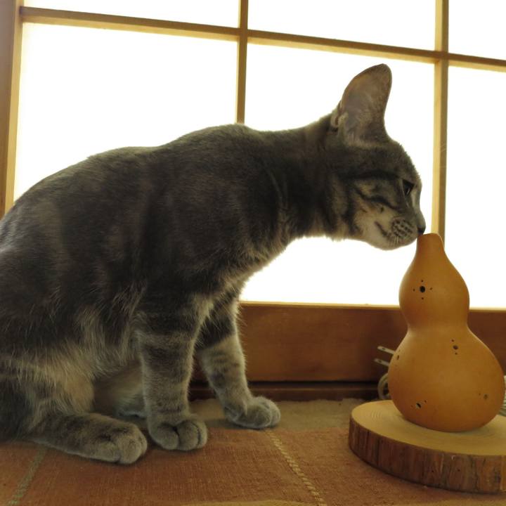 8452bbff 8109 4409 8473 4fc90d4ba031