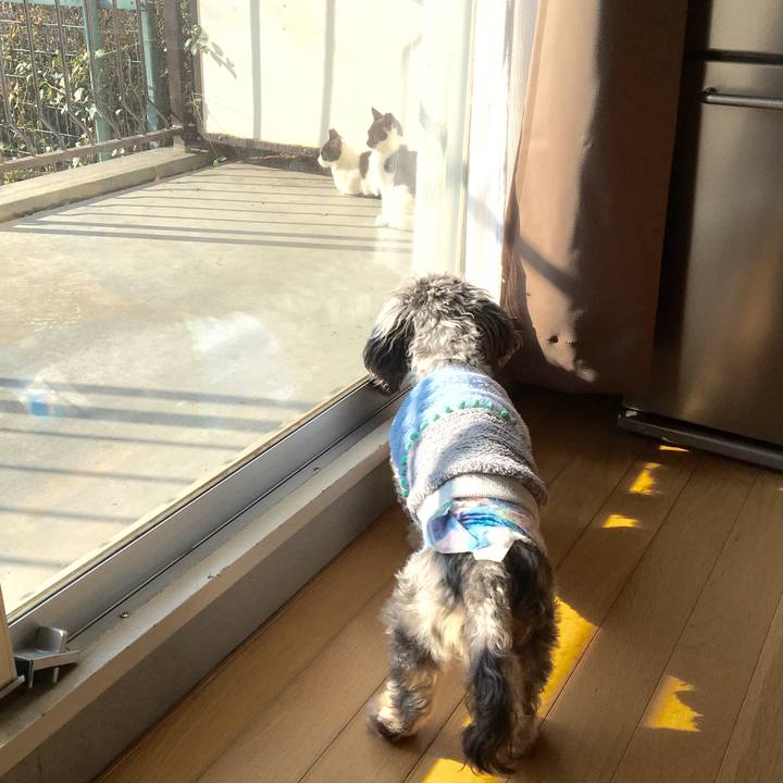 84531041 448e 489c 971e be7a101c53d7