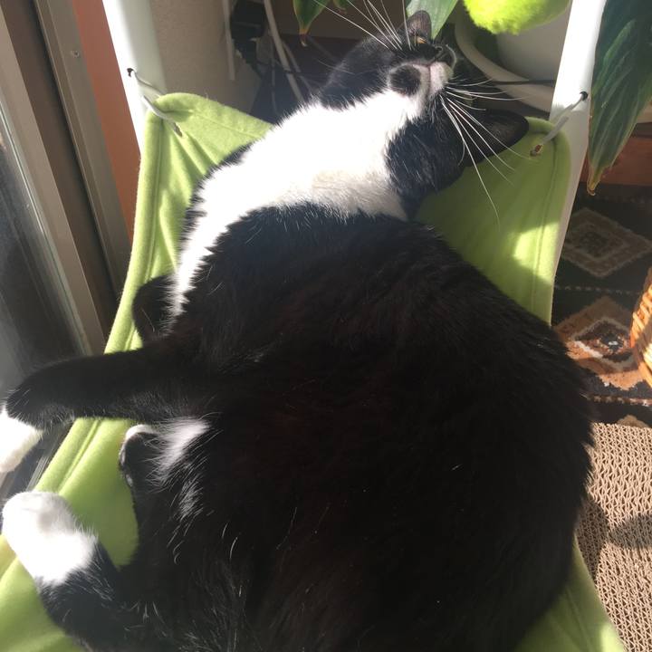 84541bfb f599 4830 9ace 0405ae2e8449