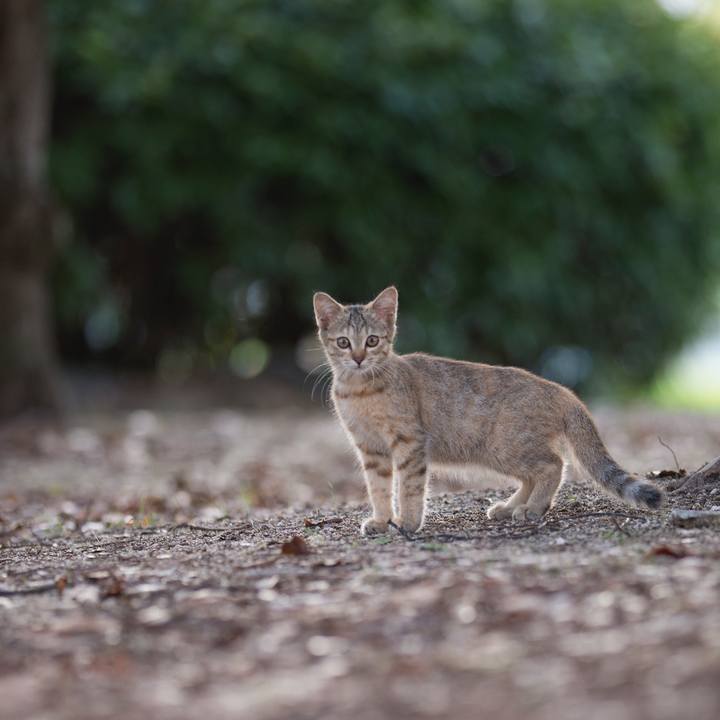 84544d09 e6af 46c0 9bd6 45ab9055aa68