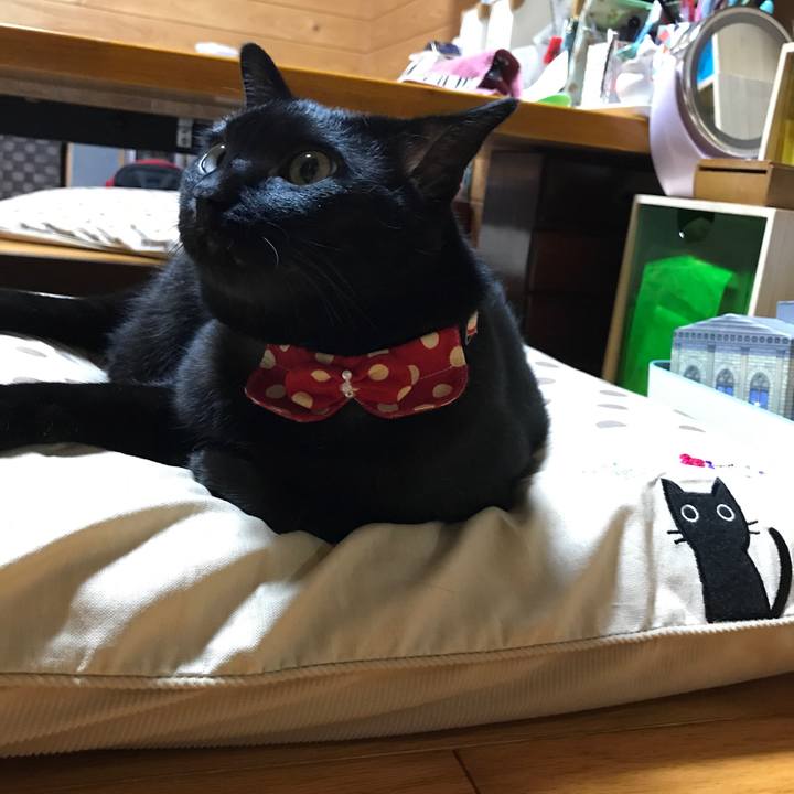 8455678e c71a 46aa 8327 988cb35cc80b