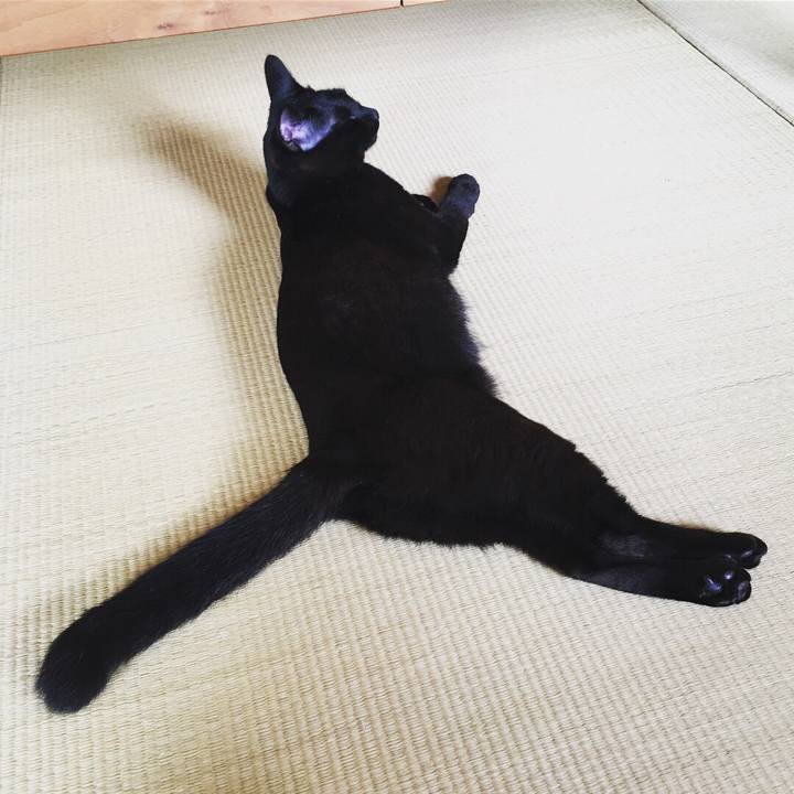 8456b894 6e27 4c11 bd4c 74160d8befa5