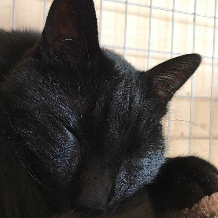 8456d883 0519 4a7c ad9f c0fe28d1e99f