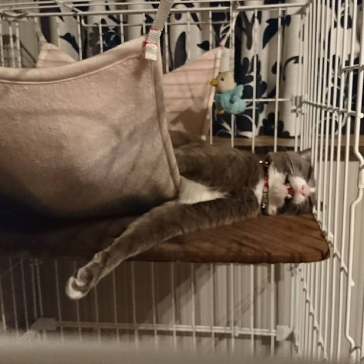 8456ed32 905b 4fe5 83b3 1ede82ac5601