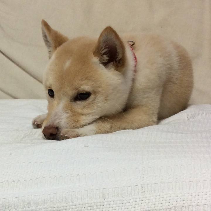 8458411b 7792 4ddd aa23 01bd13aa46fb