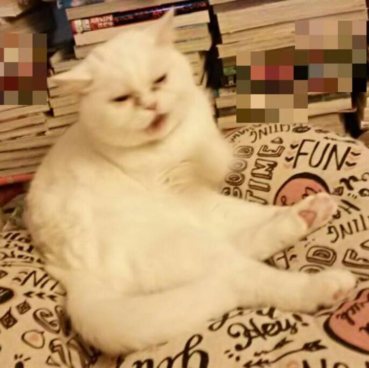 845865a7 25e2 4883 acbd 15aaad488a34