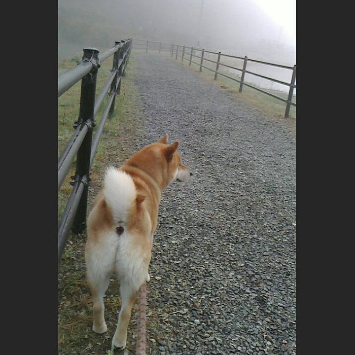 8458d47a ebaa 4aee 903d a6ecffaf7b97