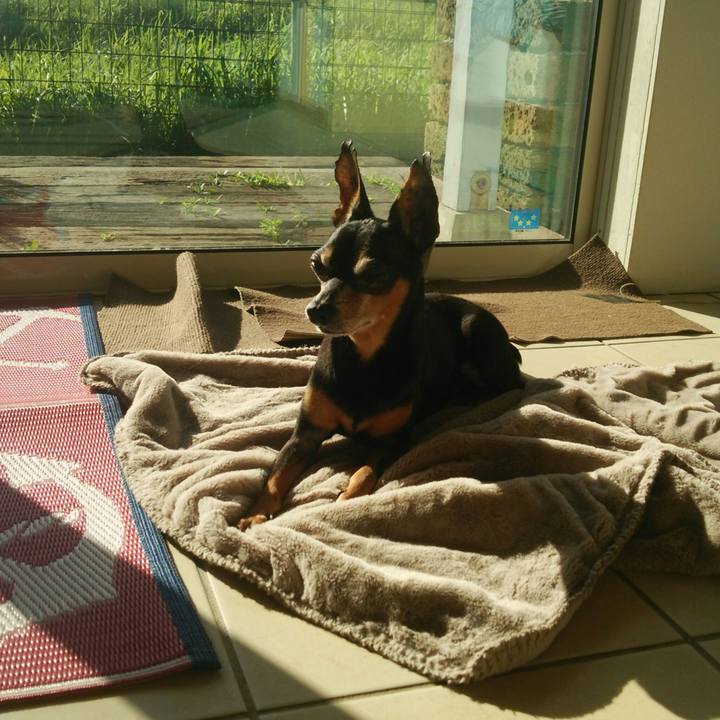 845a4d9e 8424 49e4 a99e cb42aac1dabb